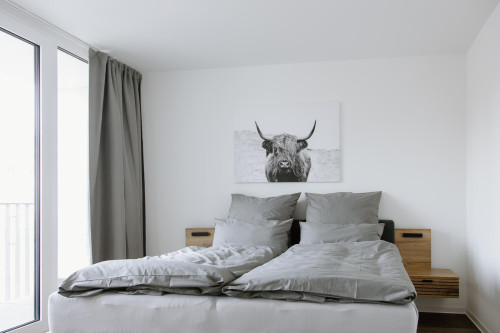 Amazing and quiet home in Dessau-Roßlau