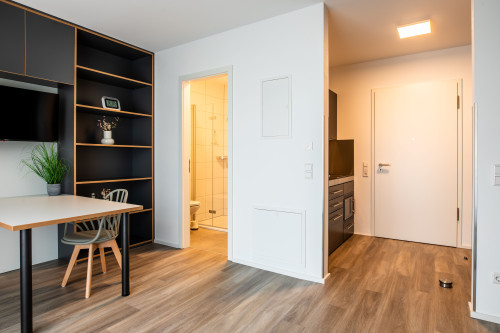 1-Zimmer Apartment Nr:1 in Tübingen Lustnau