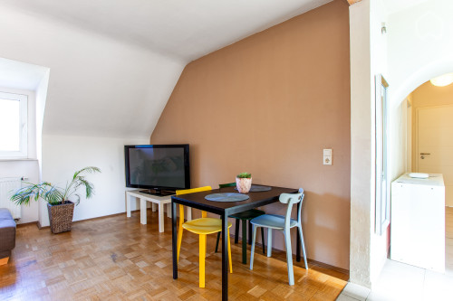 super central 2.5 room apartment 55 sqm