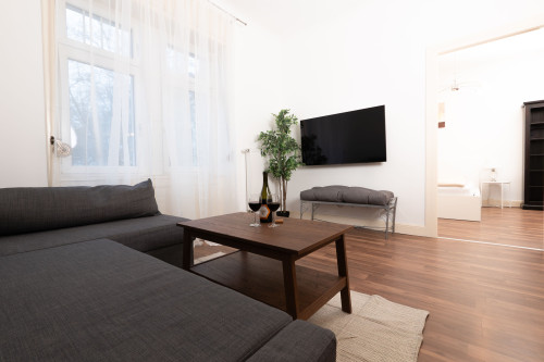 Modern 2-Room Apartment in Prime Location at Elsässer Platz, Wiesbaden