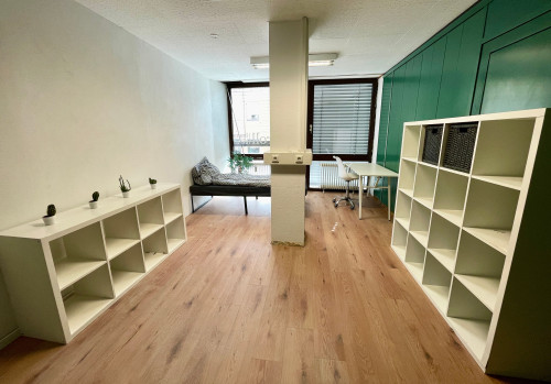Freshly renovated Modern apartment in the middle of the city center - Gallery - 9