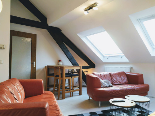 Super flat #4 in the centre, with south sun and castle view + near Aachen - Gallery - 40