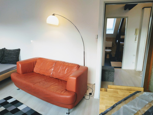 Super flat #4 in the centre, with south sun and castle view + near Aachen - Gallery - 32