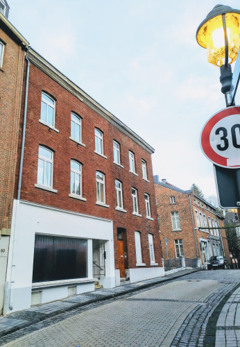 Super flat #4 in the centre, with south sun and castle view + near Aachen