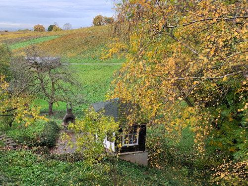 Temporary living in the middle of vineyards - Gallery - 7