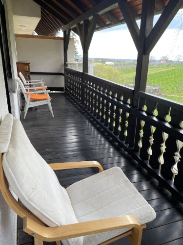 Temporary living in the middle of vineyards - Gallery - 17