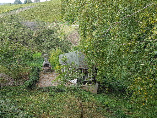 Temporary living in the middle of vineyards - Gallery - 8