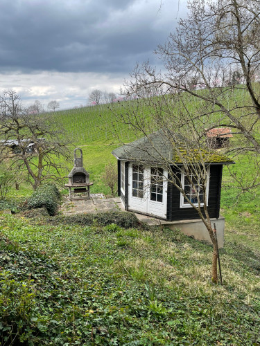 Temporary living in the middle of vineyards - Gallery - 10