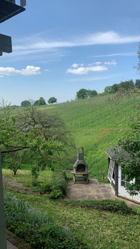 Temporary living in the middle of vineyards - Gallery - 6