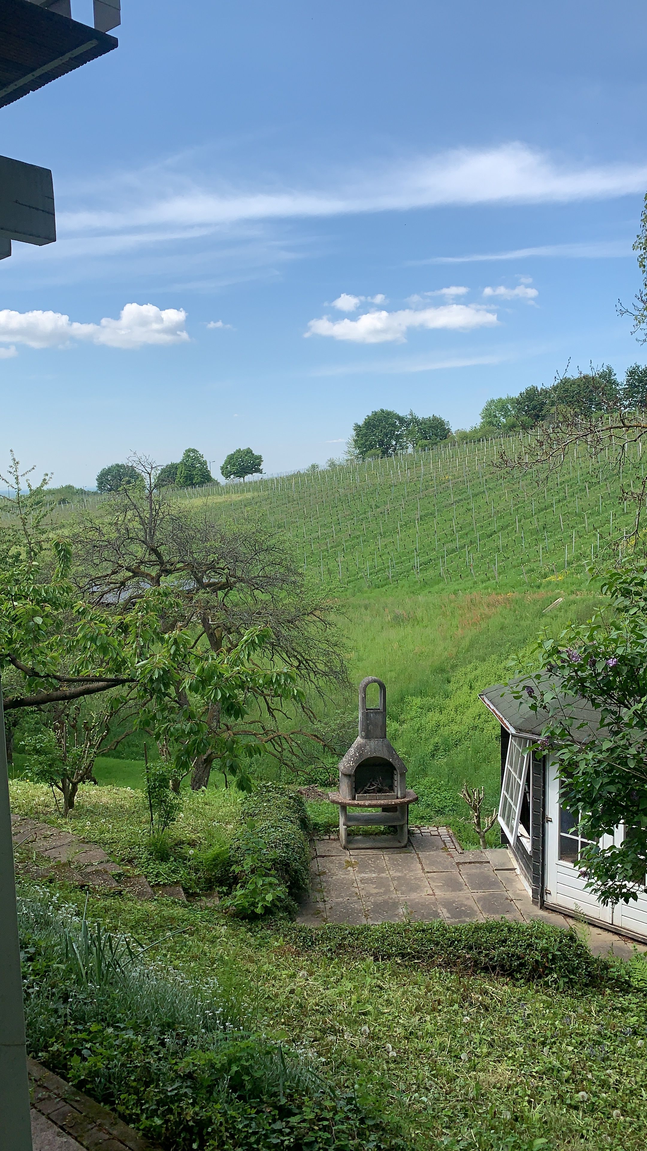 Temporary Living In The Middle Of Vineyards - 5