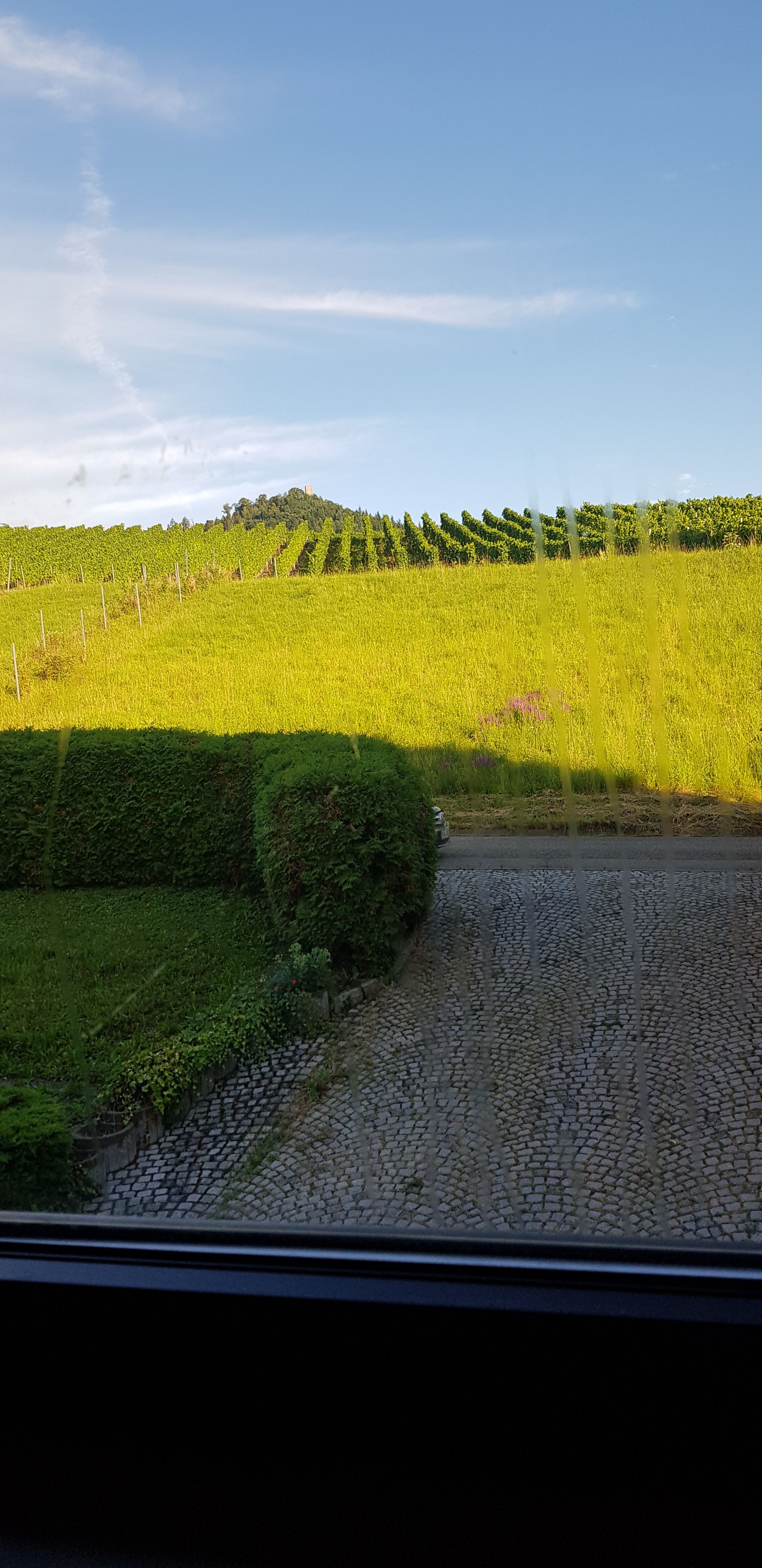 Temporary Living In The Middle Of Vineyards - 1