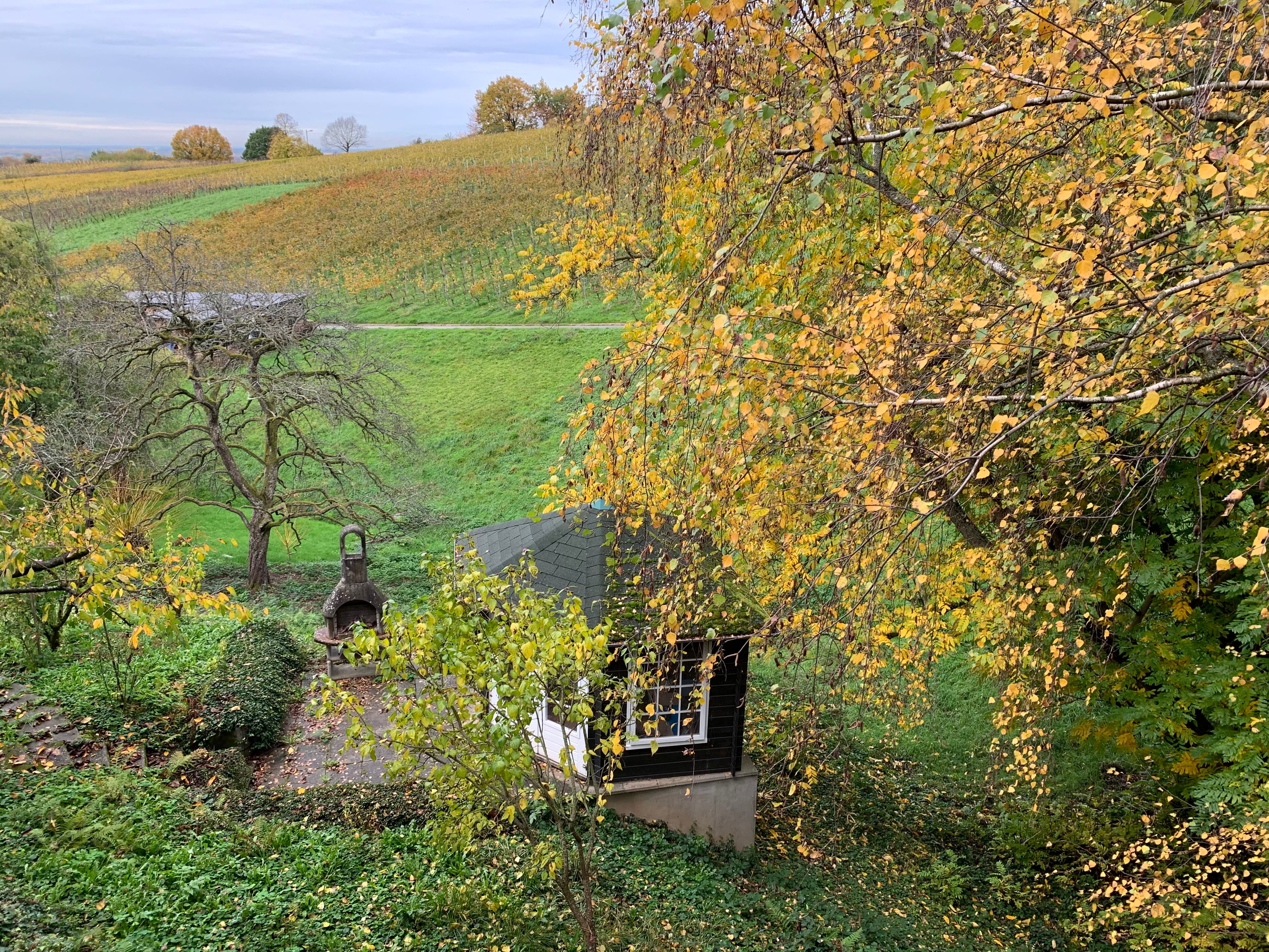 Temporary Living In The Middle Of Vineyards - 6