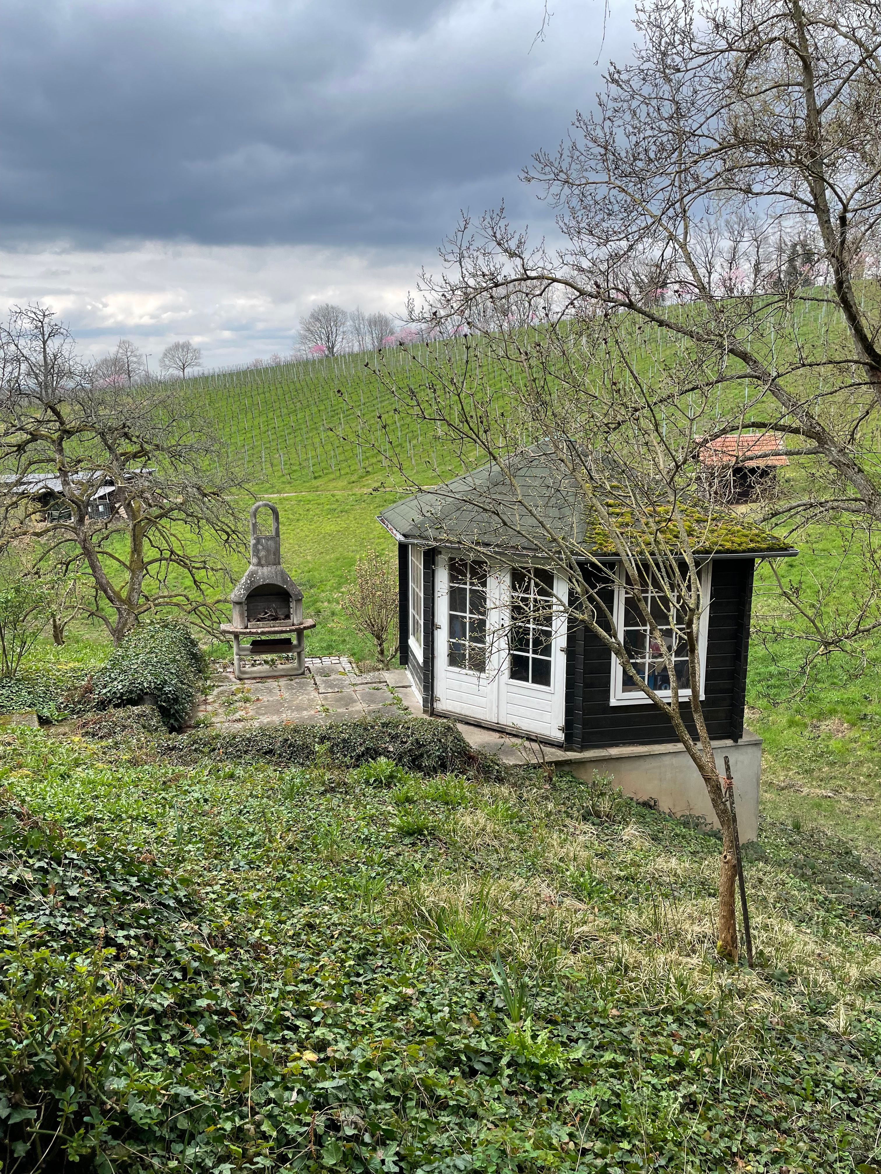 Temporary Living In The Middle Of Vineyards - 9