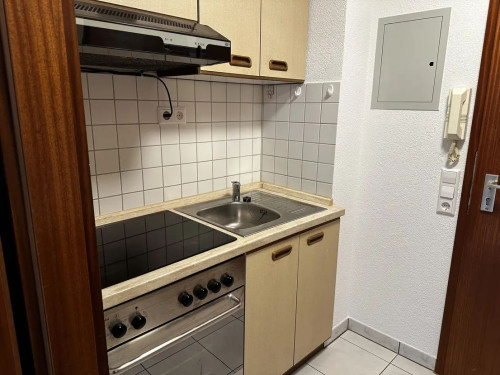 Stylish furnished studio apartment in the city center