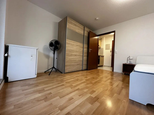 Stylish furnished studio apartment in the city center