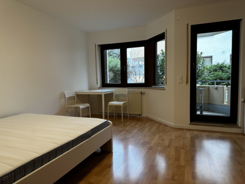 Stylish furnished studio apartment in the city center