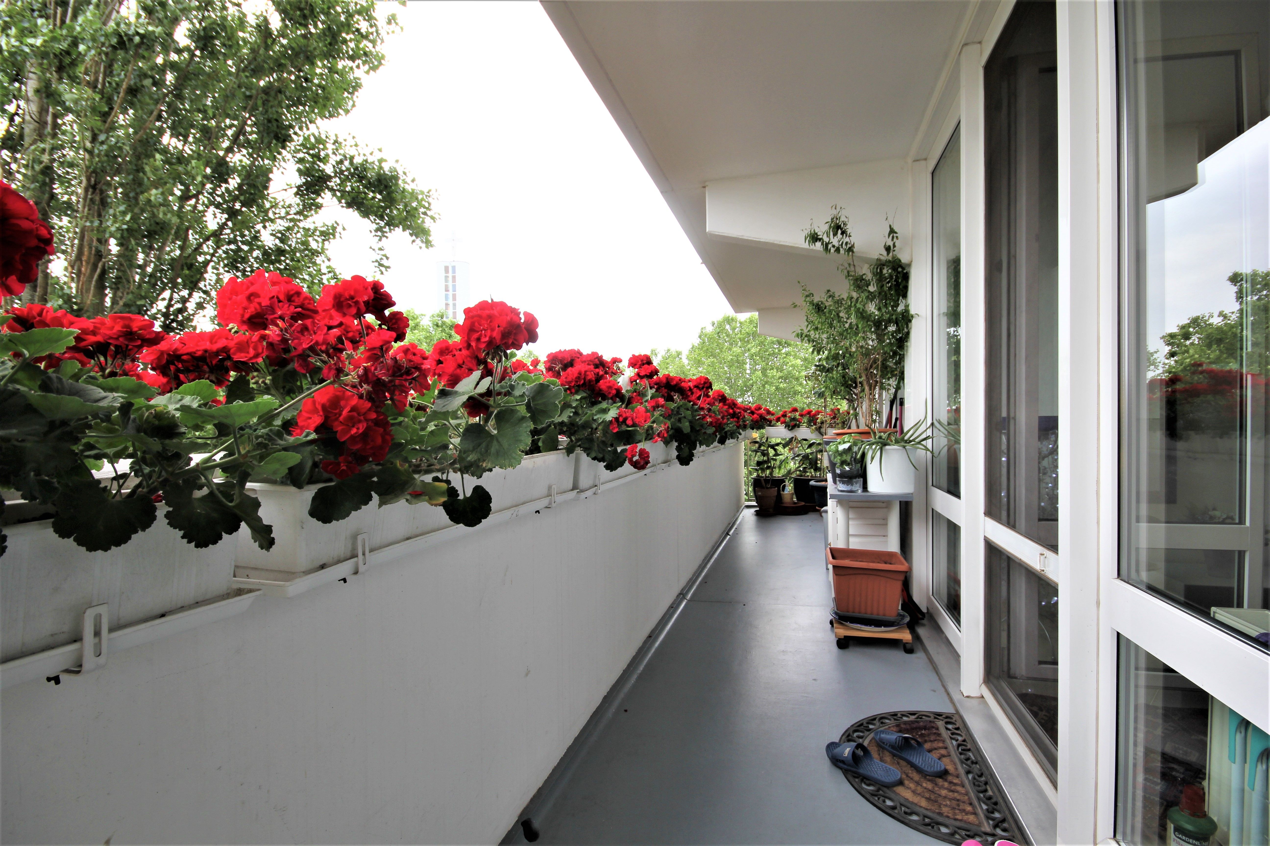  Spacious 2 Room Apartment In A Central Location  -  Spacious 2 room apartment in a central location  - Gallery -  16
