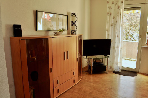 Elegantly furnished apartment with southwest balcony and shared garden terrace