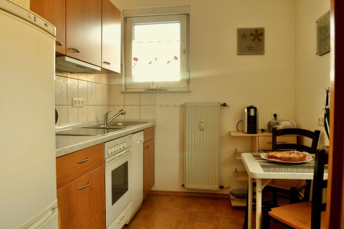 Elegantly furnished apartment with southwest balcony and shared garden terrace - Gallery - 7