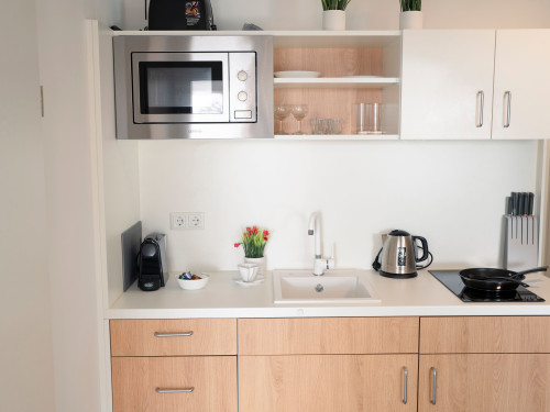 Deluxe Suite - Living & Work Place