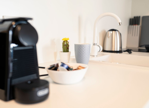 Deluxe Suite - Living & Work Place