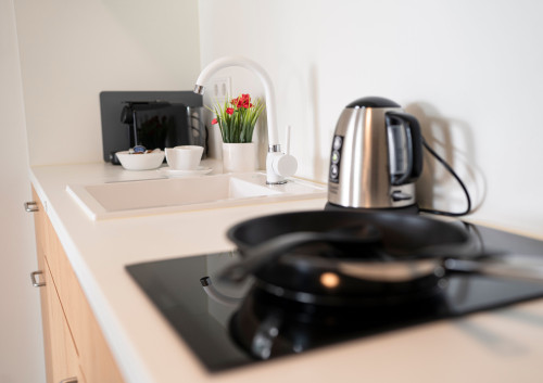 Deluxe Suite - Living & Work Place