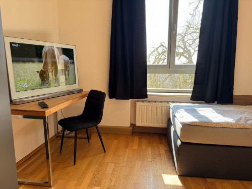 Beautiful apartment in Weimar - 3 bedrooms - 5 beds - parking lot - Smart-TV - Gallery - 18