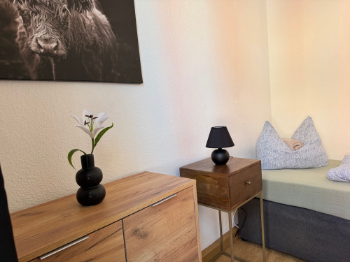 Beautiful apartment in Weimar - 3 bedrooms - 5 beds - parking lot - Smart-TV - Gallery - 20
