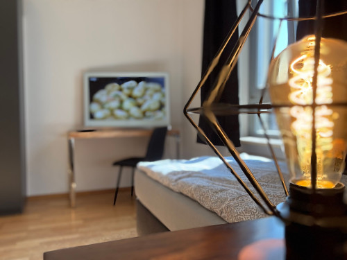 Beautiful apartment in Weimar - 3 bedrooms - 5 beds - parking lot - Smart-TV - Gallery - 21