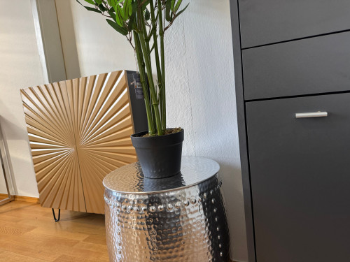 Beautiful apartment in Weimar - 3 bedrooms - 5 beds - parking lot - Smart-TV - Gallery - 25