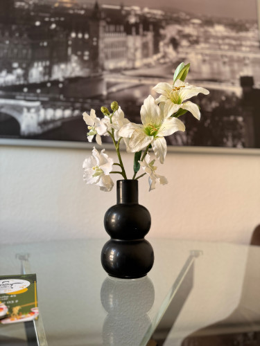 Beautiful apartment in Weimar - 3 bedrooms - 5 beds - parking lot - Smart-TV