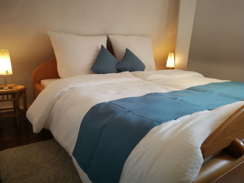Cozy apartment in the immediate vicinity of the Neue Messe Karlsruhe / dm-Arena