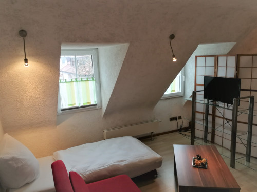Cozy apartment in the immediate vicinity of the Neue Messe Karlsruhe / dm-Arena - Gallery - 8