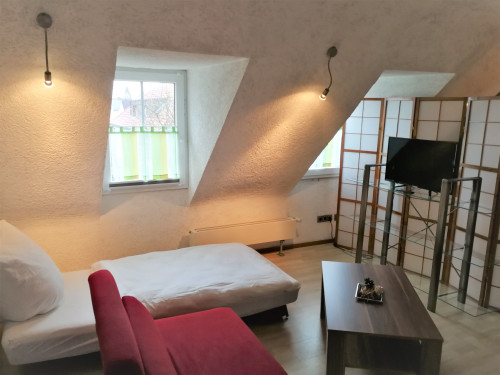 Cozy apartment in the immediate vicinity of the Neue Messe Karlsruhe / dm-Arena - Gallery - 7