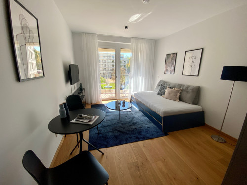 modern design apartment directly on the Isar river