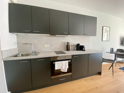 modern design apartment directly on the Isar river - Gallery - 9
