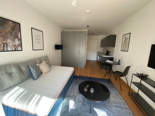 modern design apartment directly on the Isar river