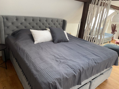 Spacious & fashionable studio in Eisenach