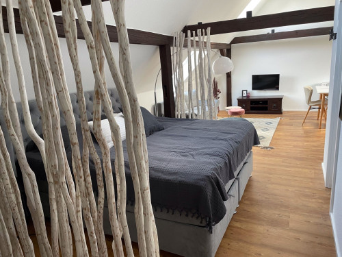Spacious & fashionable studio in Eisenach