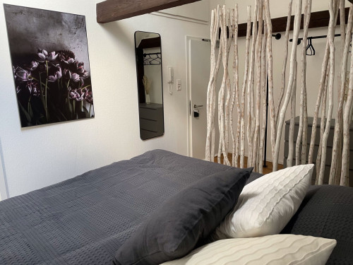 Spacious & fashionable studio in Eisenach