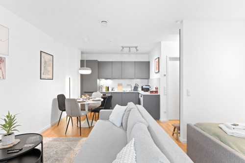 # Pink Lion I Parking lot I Central I Terrace #