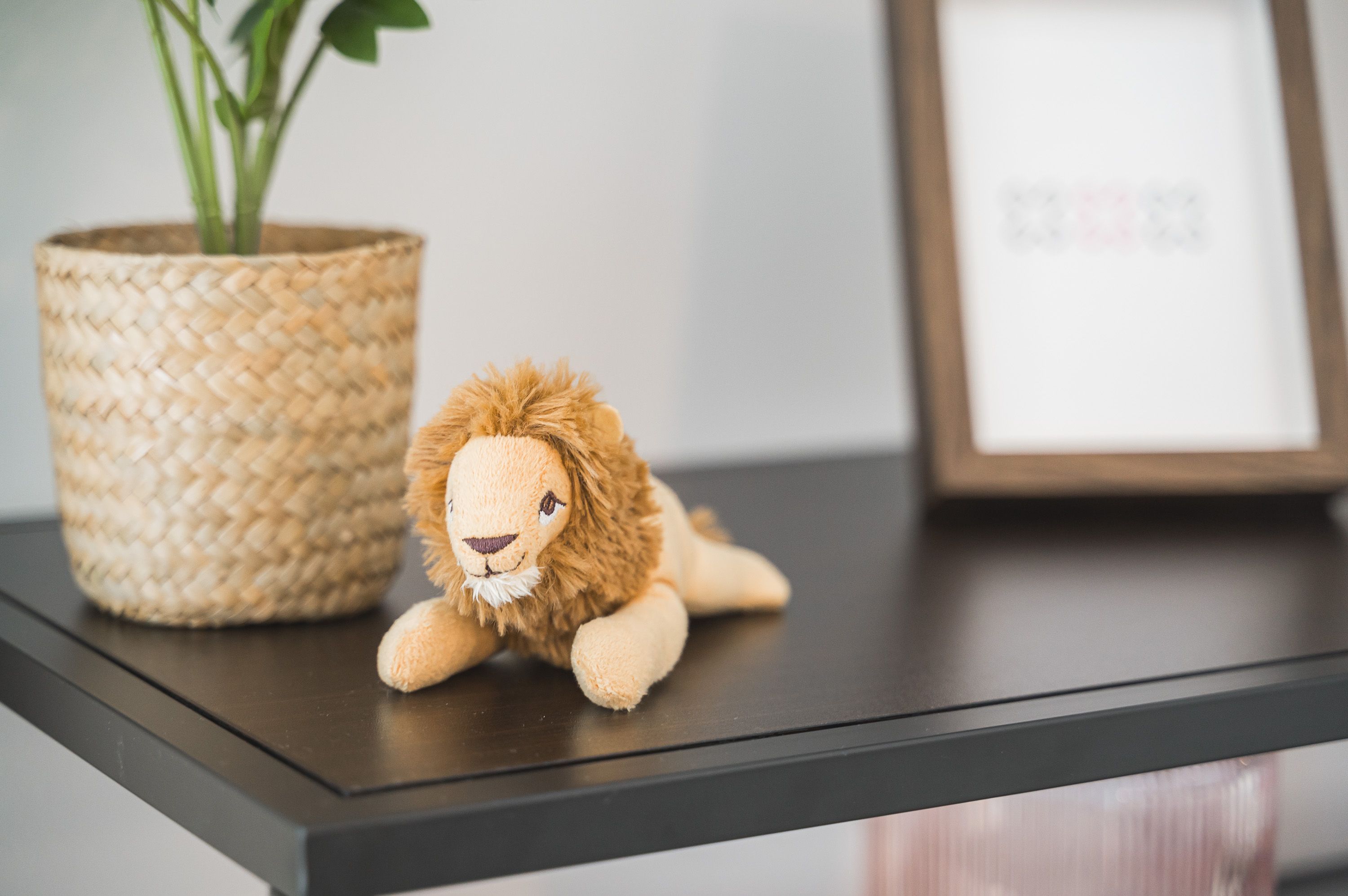  # Pink Lion I Parking Lot I Central I Terrace #  -  # Pink Lion I Parking lot I Central I Terrace #  - Gallery -  34