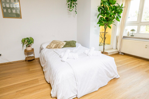 Design Studio | Großer Garten | Center