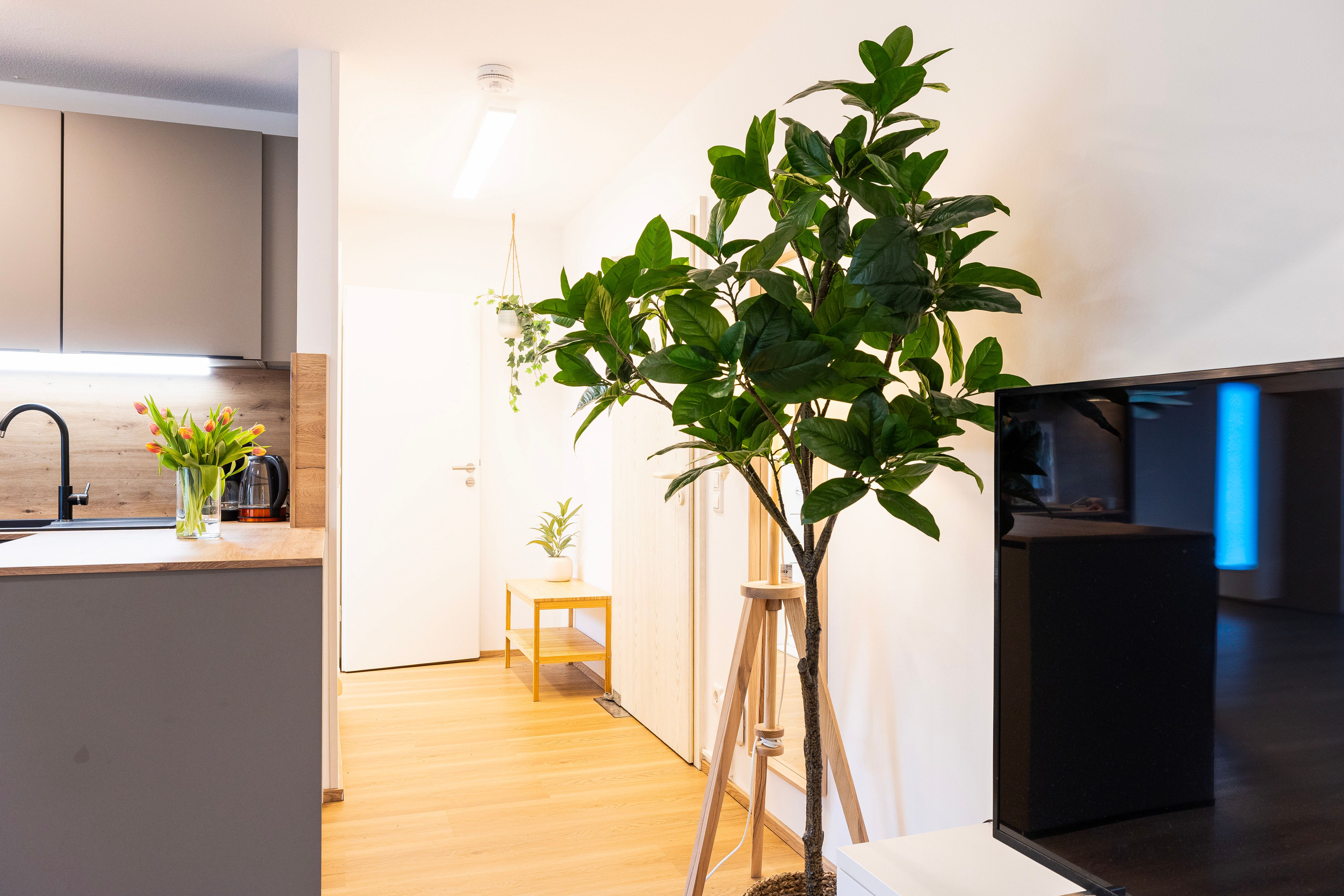 Design Studio | Großer Garten | Center - Design Studio | Großer Garten | Center - Gallery - 5