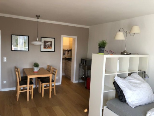 Quiet, cozy suite (Frankfurt am mMain)
