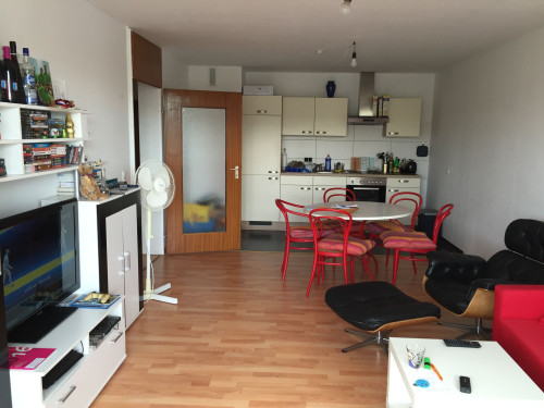 Domestic, fashionable apartment for a time in nice neighborhood