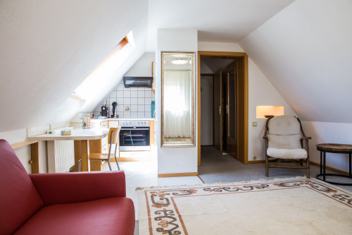Bright and Quiet Studio Loft in Friedrichshafen - Gallery - 25
