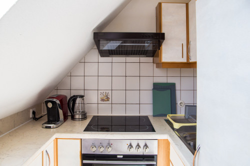 Bright and Quiet Studio Loft in Friedrichshafen - Gallery - 17