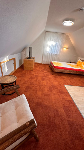 Bright and Quiet Studio Loft in Friedrichshafen