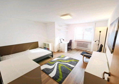 Awesome and new apartment in Stuttgart Bad Cannstatt